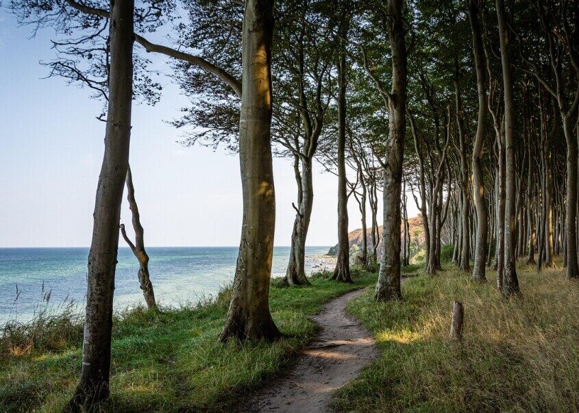 Mindfulness Nature Trail