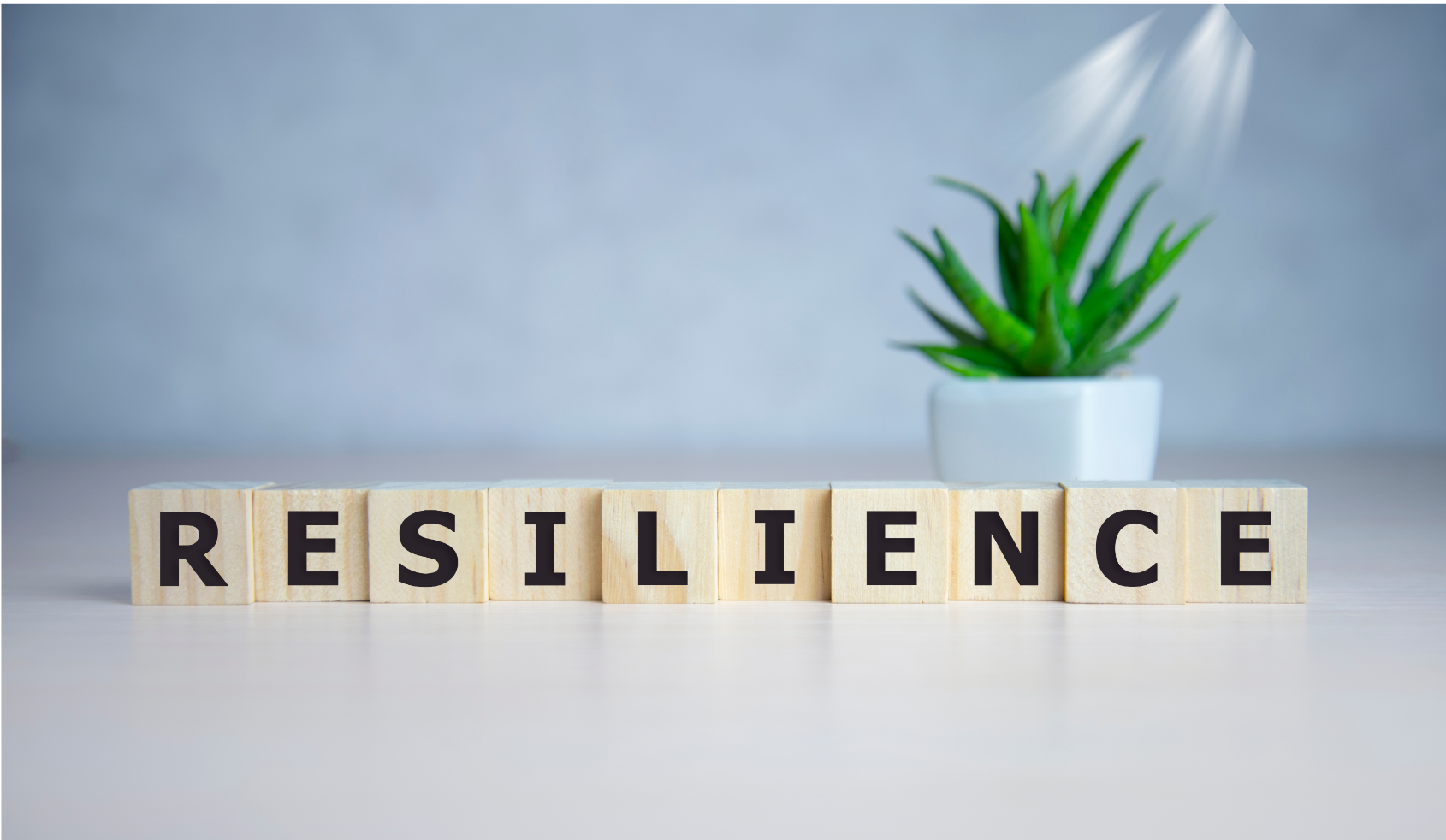 Resilience